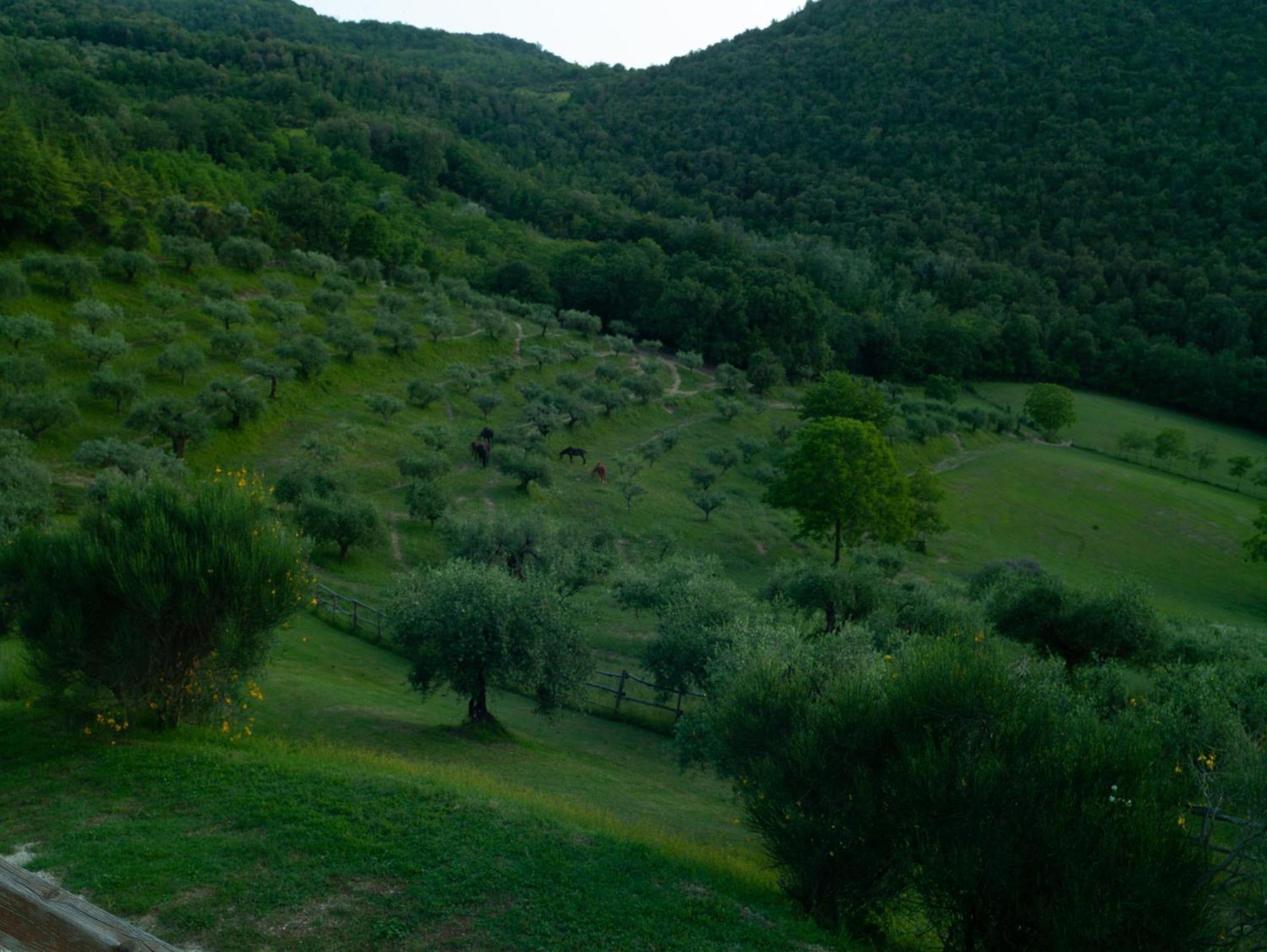 Agriturismo La Fonte Villa Perugia Bagian luar foto